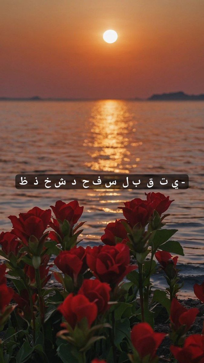 #تاروت #استبصار 

فعالية للمرتبطين 

رسالة من الشريك لك في الوقت الحالي ❤

-  هـ  ص ز  ع ك أ  ض و ن م ط  ج  ر  غ  ث

- ي ت  ق  ب ل  س ف ح  د  ش خ  ذ  ظ

طبقوا الشروط للتبادل الطاقي فولوا وريتويت للفعالية والمثبتة 👀💕

🔴 النية فقط للأشخاص اللي مطبقين الشروط ✋