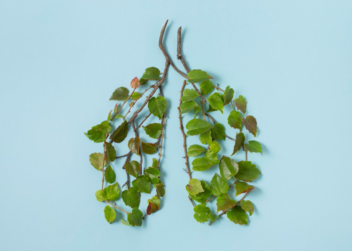 😷🗳️ ¿Puede considerarse equitativo un proceso democrático cuando las condiciones de salud excluyen sistemáticamente a ciertos grupos?

En #AXIS, Norma Quintalán reflexiona sobre salud, dignidad y participación política: porque la democracia también se construye respirando.

🫁