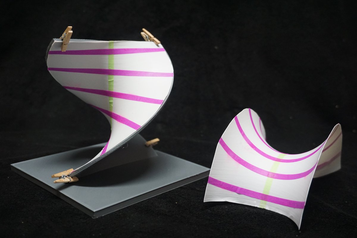 NC State Department of Mathematics tweet media