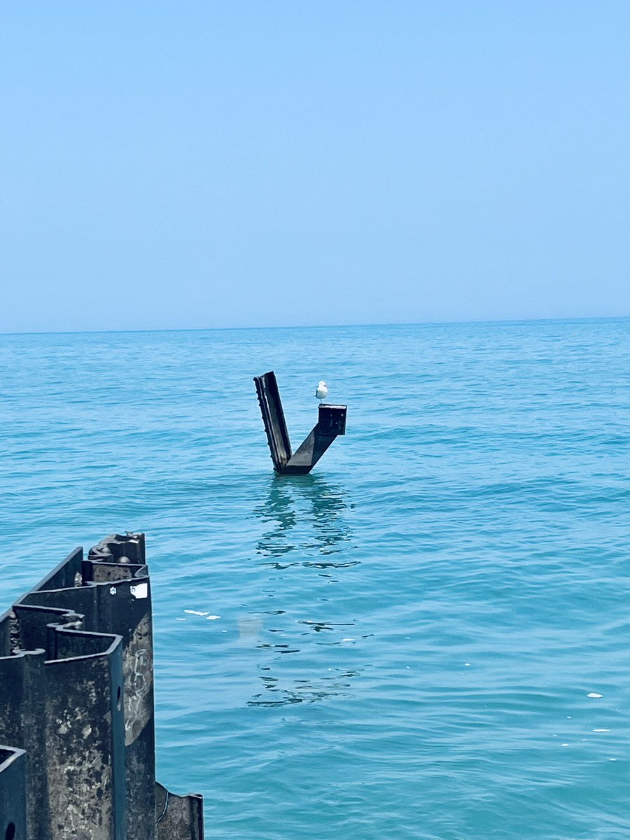 Sad Song Reference™️ tweet media