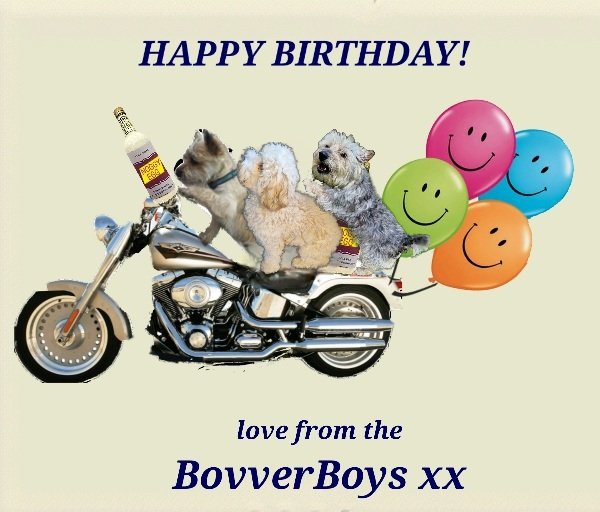 JACK BovverBoy (@jennystape) on Twitter photo Happy Birthday Timmy ๐
Love from Jack, Rupes and Norm xxx
<a href="/Norman_Dillon1/">Norman the Bandit Bovver๐</a> #BovverBoys #BovverBoysForever Happy Birthday Timmy ๐
Love from Jack, Rupes and Norm xxx
<a href="/Norman_Dillon1/">Norman the Bandit Bovver๐</a> #BovverBoys #BovverBoysForever