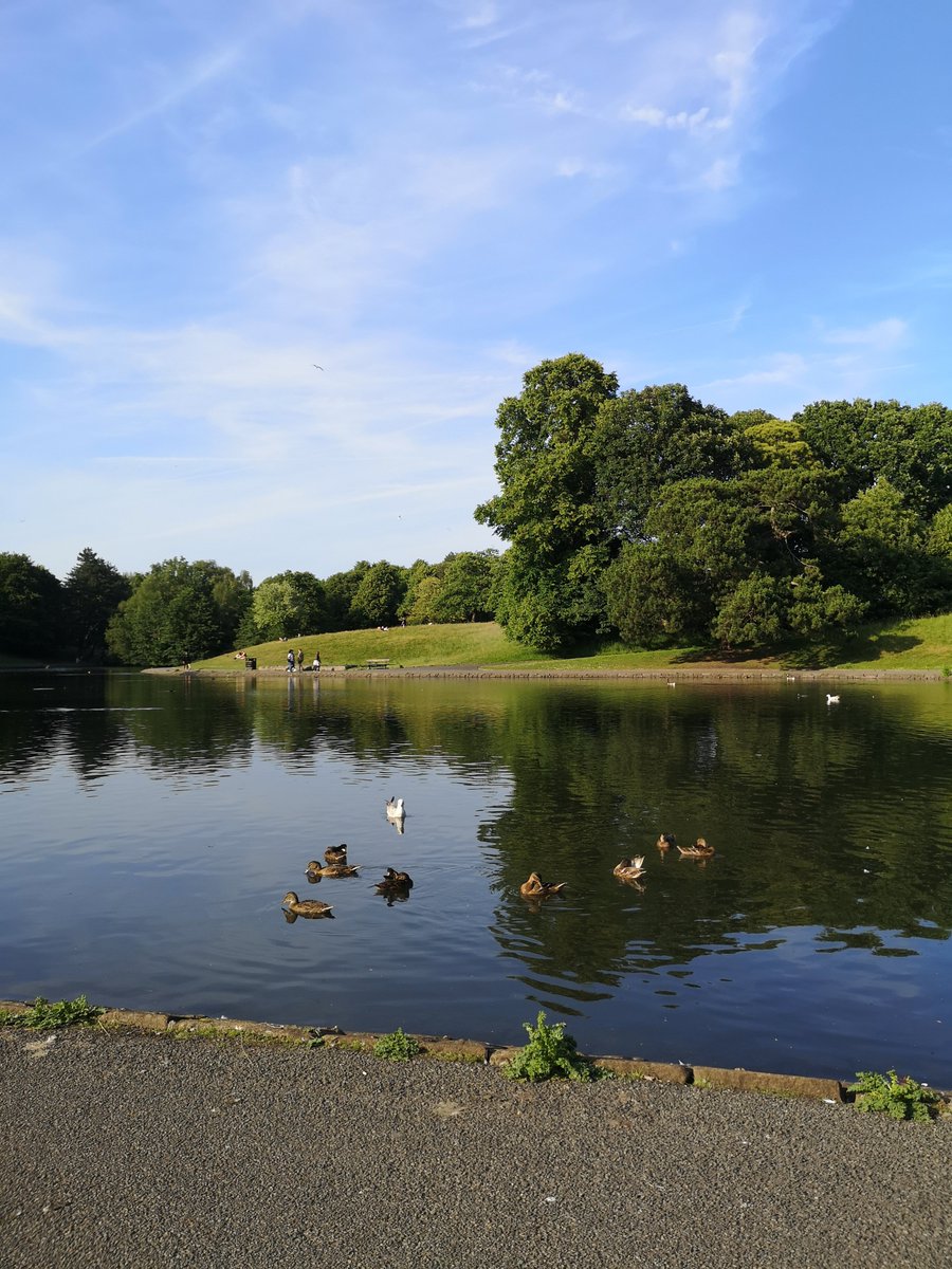 Beautiful Sefton Park tonight