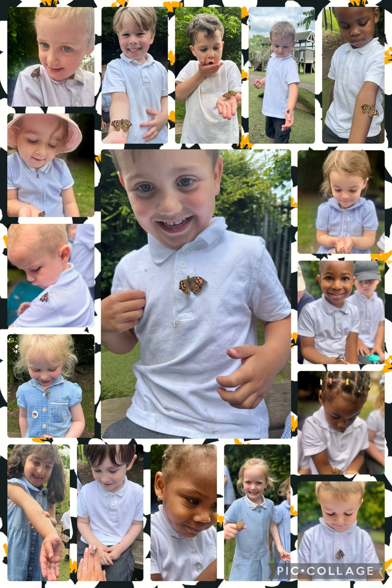 Miss Pope (@grangemissp) on Twitter photo Today was the day we released our butterflies! 🦋
The children have been waiting patiently for the caterpillars to turn into butterflies. All of nursery held the butterflies and some even landed on our shirts 😁
<a href="/GrangeMissWri/">MissWright</a> <a href="/GrangeMissA/">GrangeMissA</a> <a href="/GrangeMissCl/">Miss Clarke</a> <a href="/GrangeMrsMcG/">Mrs McGilloway</a> <a href="/GrangeMrsS/">Chelsey Smart</a> Today was the day we released our butterflies! 🦋
The children have been waiting patiently for the caterpillars to turn into butterflies. All of nursery held the butterflies and some even landed on our shirts 😁
<a href="/GrangeMissWri/">MissWright</a> <a href="/GrangeMissA/">GrangeMissA</a> <a href="/GrangeMissCl/">Miss Clarke</a> <a href="/GrangeMrsMcG/">Mrs McGilloway</a> <a href="/GrangeMrsS/">Chelsey Smart</a>