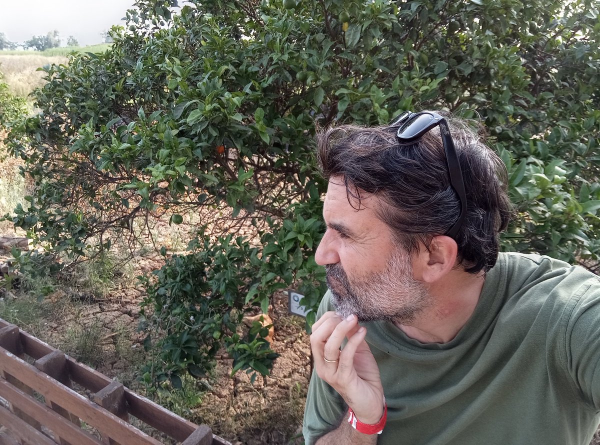 Son las 19:30. He comido tres naranjas y me han picado varias arañas. No ha venido el del tractor del abono y sigo esperando las ayudas de Tragsa 7 meses después de la dana.