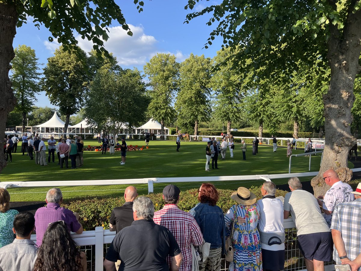 Beautiful setting in the parade ring for Race 3 at Windsor night racing