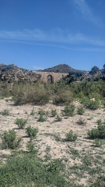 ashleyrclark1's tweet photo. Day 84 of 365 #DaysofSpain
16th June 2023
And from near the Rio Aguas between Turre - Los Gallados - Alfiax area https://t.co/AFfft8RtHa