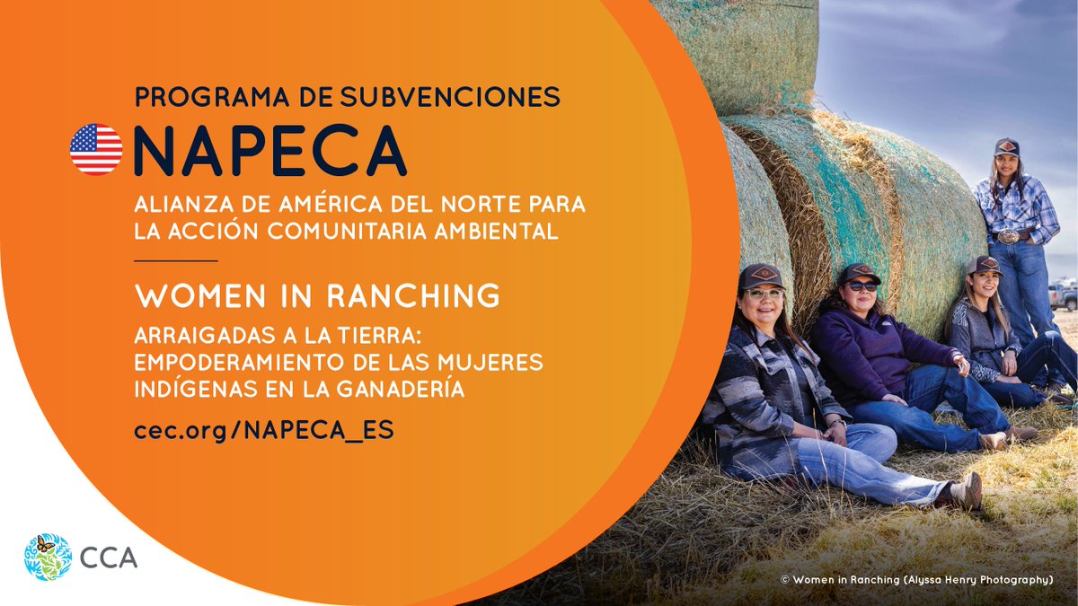 Comisión para la Cooperación Ambiental (@cca_espanol) on Twitter photo ¡Un orgullo apoyar Women in Ranching con subvención #NAPECA!
Empodera #mujeres #indígenas ganaderas con herramientas inteligentes en plano climático, redes  y atención integral p’ #liderazgo y #ResilienciaClimática en #ComunidadesIndígenas🌾
👉 cec.org/es/north-ameri… ¡Un orgullo apoyar Women in Ranching con subvención #NAPECA!
Empodera #mujeres #indígenas ganaderas con herramientas inteligentes en plano climático, redes  y atención integral p’ #liderazgo y #ResilienciaClimática en #ComunidadesIndígenas🌾
👉 cec.org/es/north-ameri…