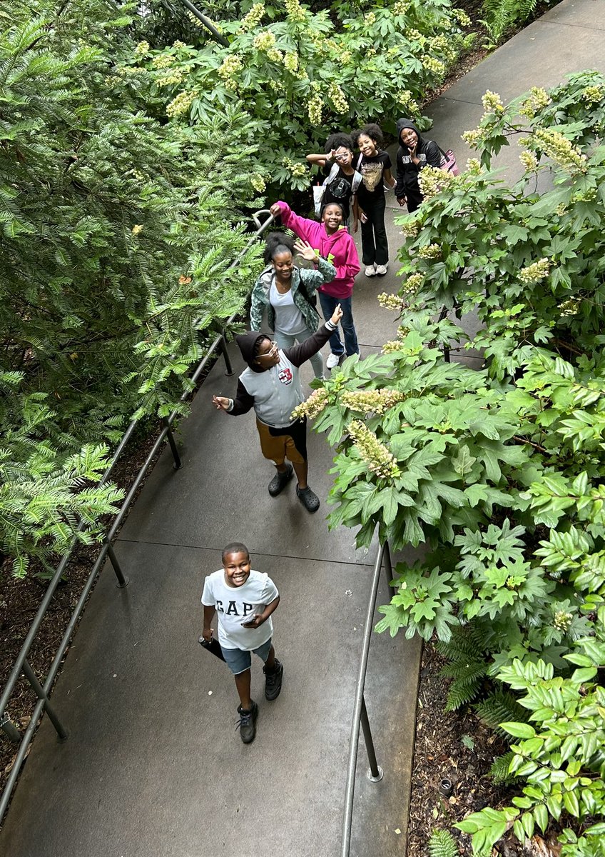 HodgeMRES's tweet photo. @MRES_NCSS students explored Atlanta Botanical Garden during a 21st Century Summer Program field trip @MsRBattle https://t.co/oc4pq4xjD2