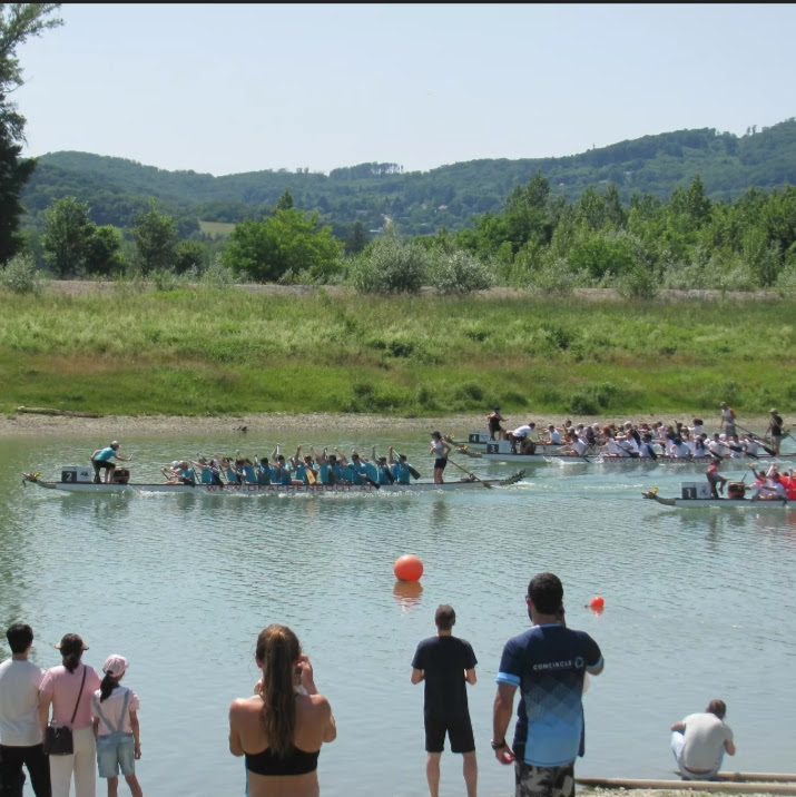 Last Saturday my team (blue shirts) and I participated in Austria's Dragon Boat Cup and reached 6th place, reaching semi finals. Weather was amazing and it was so much fun!
#proud #dragonboat