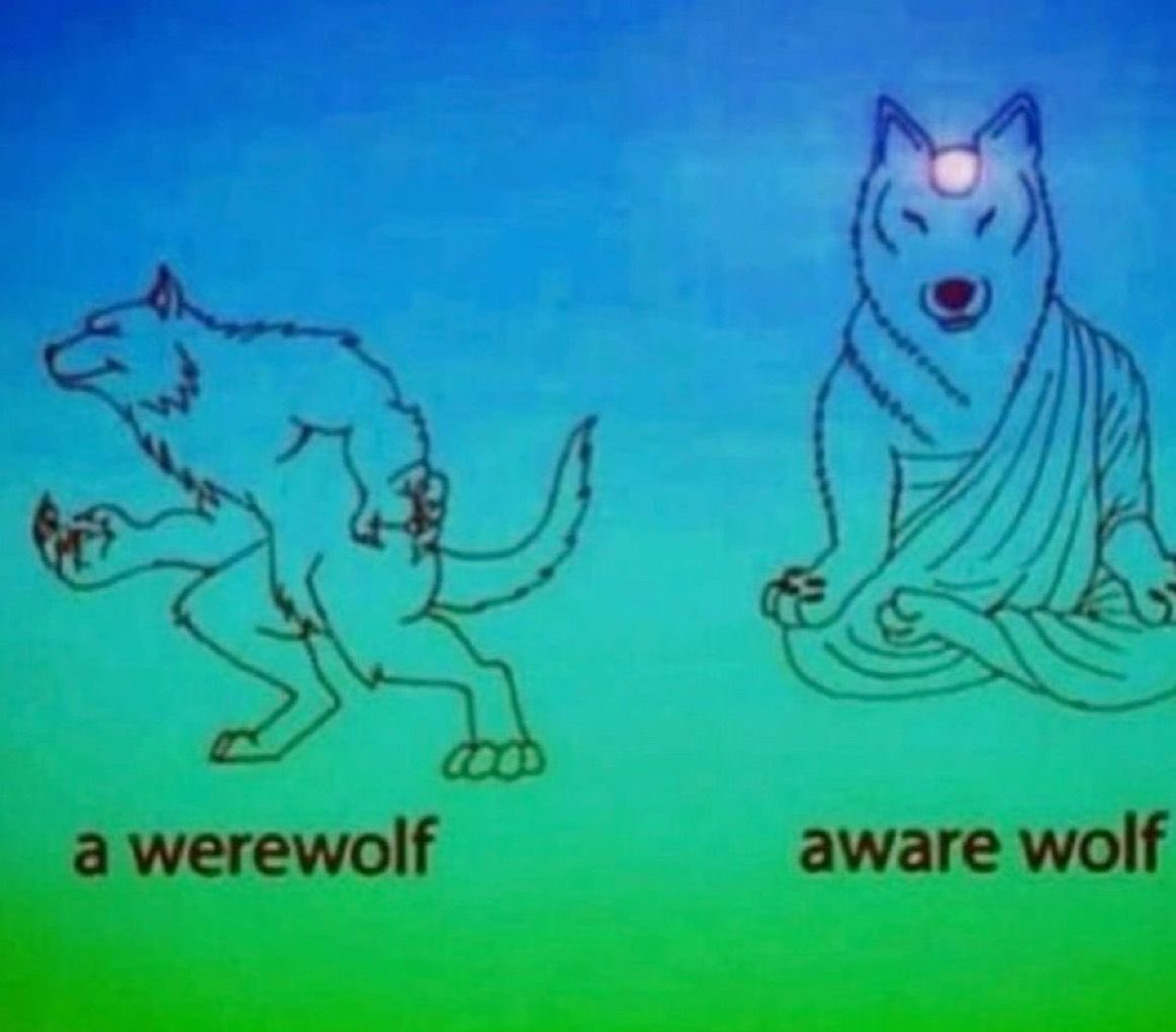 The Notorious J.O.V. (@whotfisjovana) on Twitter photo 