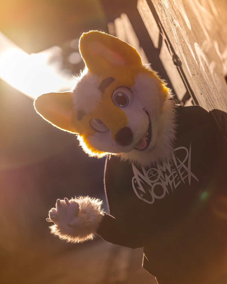 let‘s climb on the roof and watch the sunset 🌆

📸 <a href="/CaptainChaotika/">🌻 混沌的隊長 ➡️ AFC</a>
