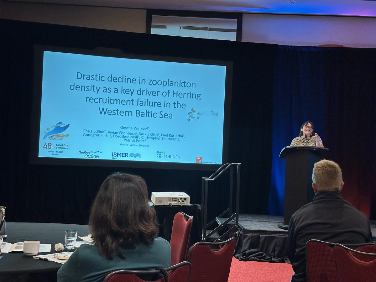 Now to focus more on zooplankton as a driver of Herring recruitment in the Western Baltic with a talk by Gesche Winkler! #LFC2025