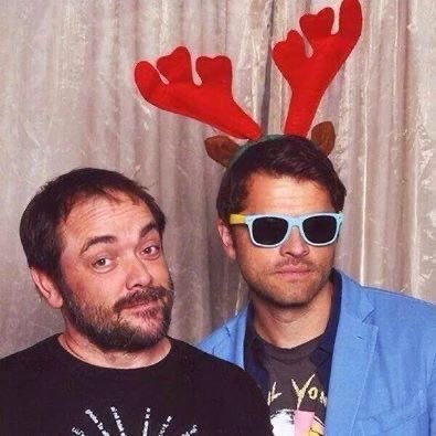 💭 (@comfortsheppard) on Twitter photo 