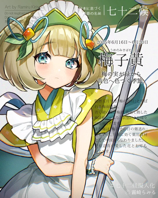 【#七十二候擬人化:梅子黄】 6/16～6/20は芒種末候[うめのみきばむ]。 陰暦五月では「梅の色月」と呼ばれる梅雨時期。青く硬い梅は梅酒、黄色く熟した梅は梅ジャムなど状態により様々に使用されます。また梅は「梅はその日の難逃れ」ともいい、万病に効く薬用食材として中国から伝わりました。