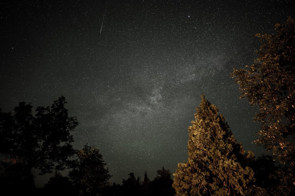 Michael Eisen (@mbeisen) on Twitter photo 