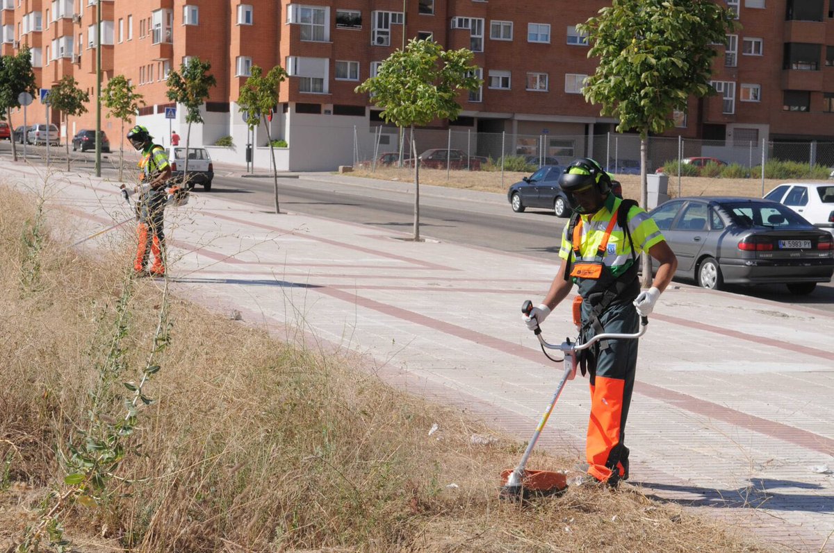 Hemos incrementado en un 30% los medios humanos y materiales de la Campaña de Desbroce tras las históricas lluvias de marzo. Con 381 operarios y 96 equipos de maquinaria

En un mes se han completado los trabajos sobre 7,8 millones de m2, el 56% del total 
diario.madrid.es/blog/notas-de-…