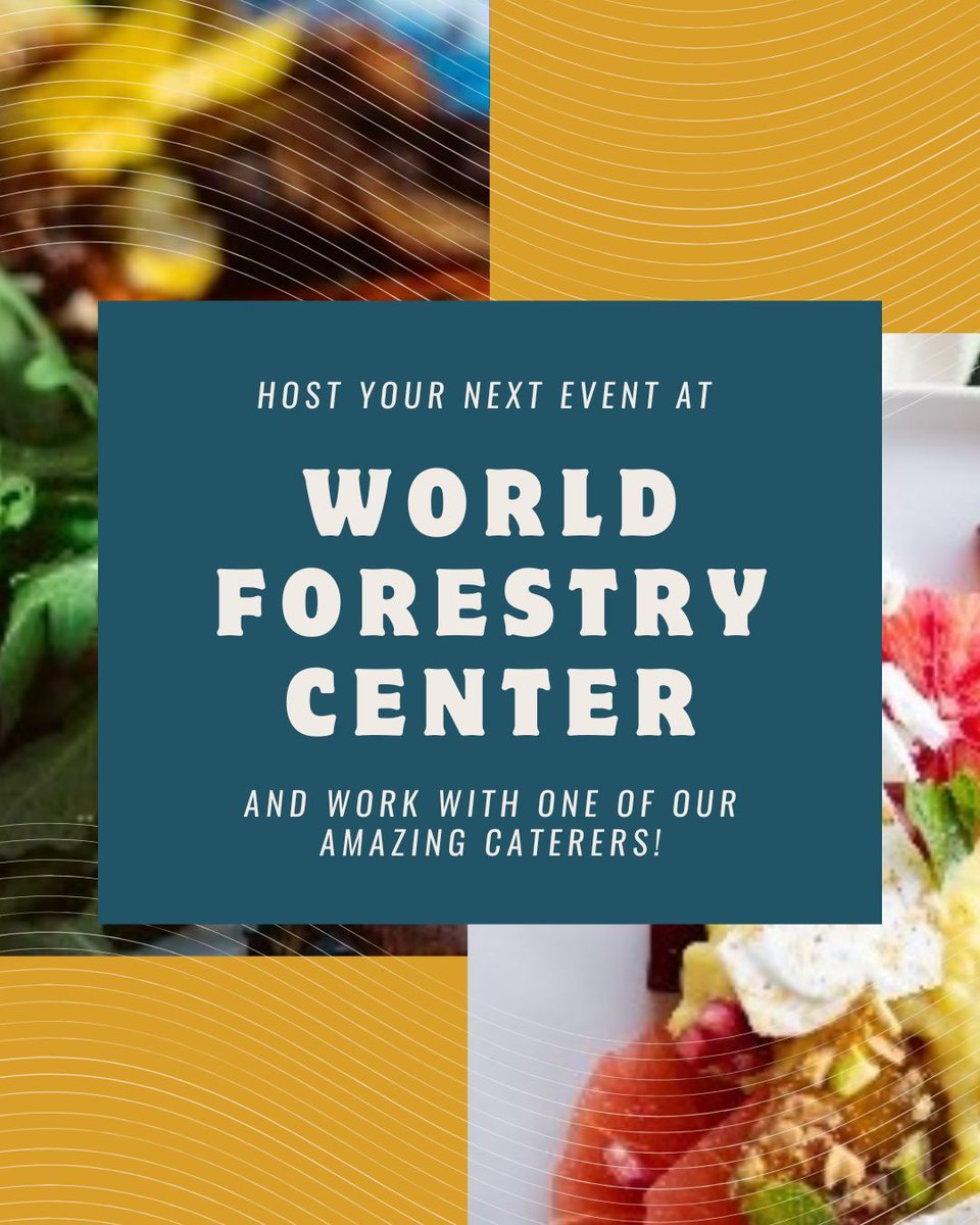 🔆 Catering Spotlight: Art of Catering!

Here’s what makes them stand out:
🍴 Customizable Menus designed for your needs and tastes
👩‍🍳 Event Coordinators who are with you every step of the way
🌿Dedicated to the highest quality in food and service

#WorldForestryCenter