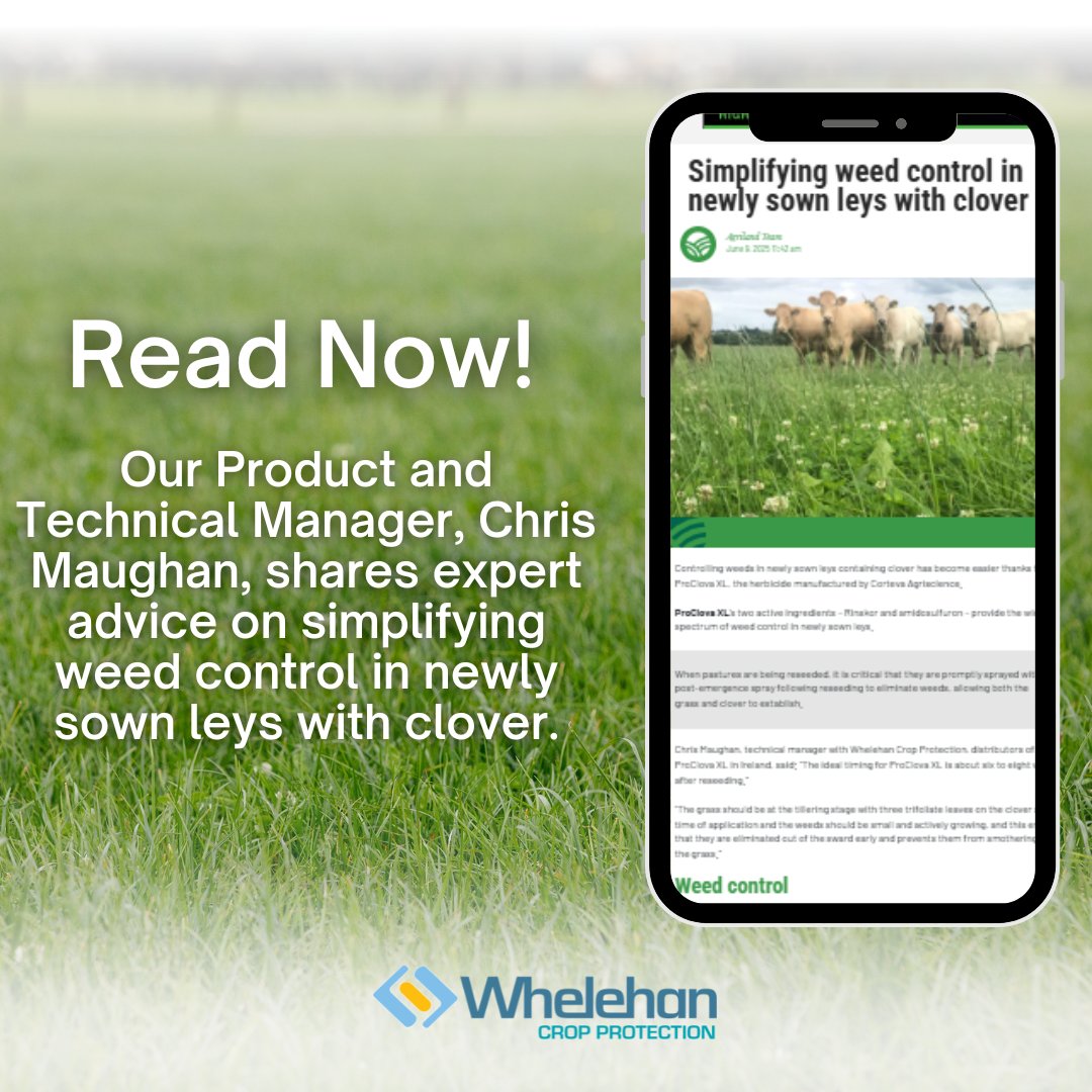 Our Product and Technical Manager, Chris Maughan, breaks down how to simplify weed control in these sensitive swards. From product choice to timing, learn how to protect clover while keeping weeds at bay.✅

Read the full article 👉 bit.ly/4kszYT7 

<a href="/CortevaIE/">Corteva Ireland</a>