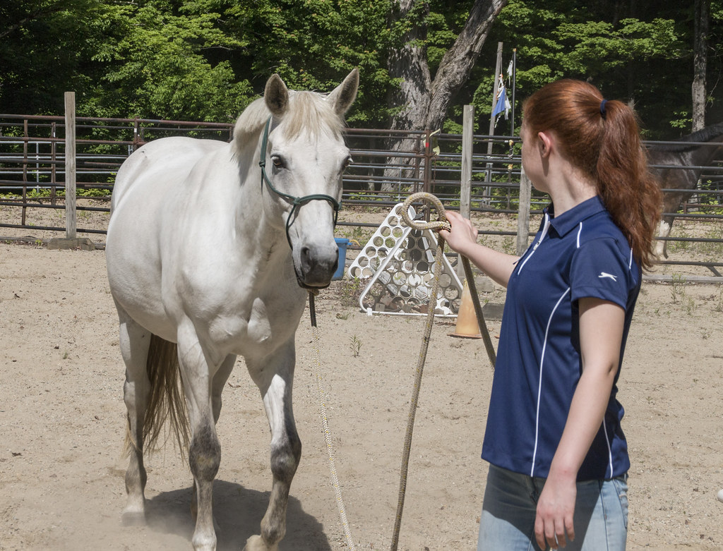Nieuwe therapievorm waarbij paarden worden ingezet: beste-id.nl/nieuws/nieuwe-…
<a href="/OU_Nederland/">Open Universiteit</a>