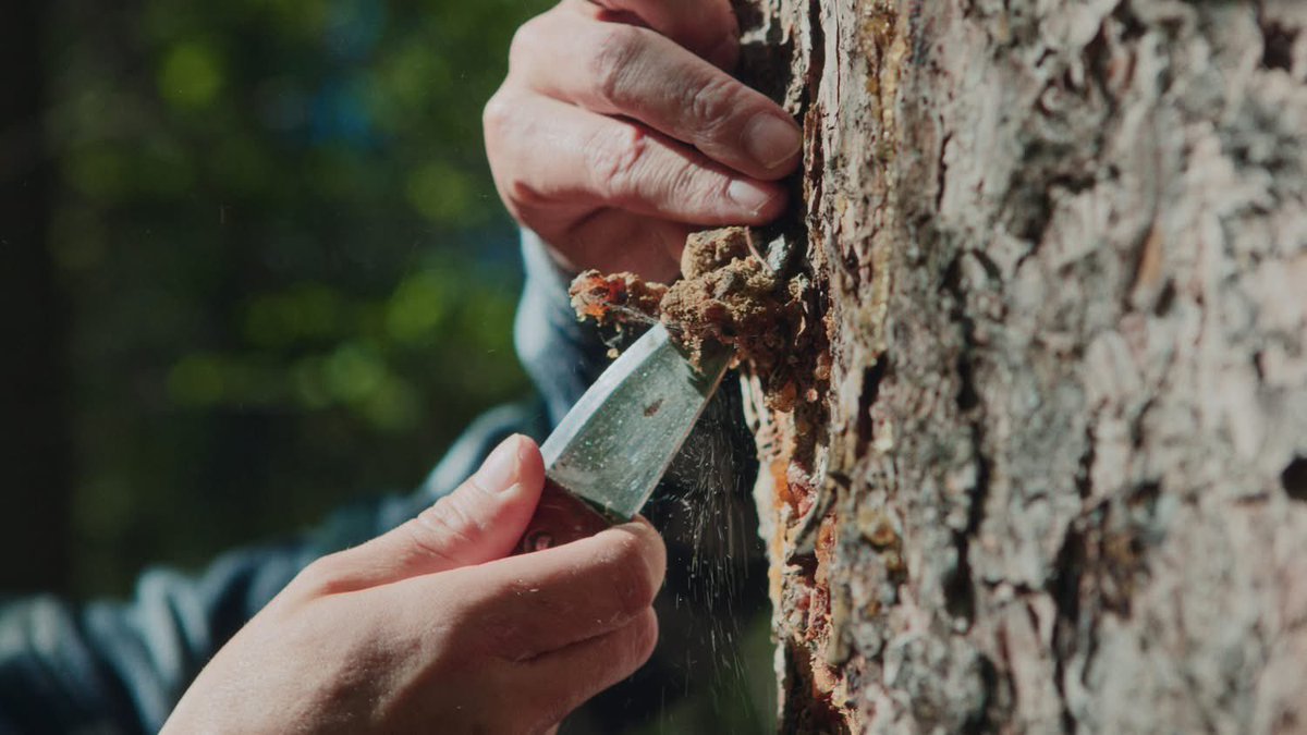 GuerrillaMP's tweet image. Some stills from our shoot with Russ McRae of @aaroewilderness for the Alberta Business Showcase with @BusinessLinkAB 

Always a privilege capturing stories rooted in land, culture, and community.

#IndigenousHistoryMonth #YEGFILM #BehindTheScenes