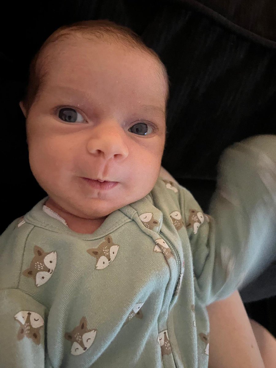 LIVANTER's tweet image. Crazy to think my silly little Fortnite streams five years ago ended up being the catalyst for marrying my best friend, moving to Australia, and welcoming our daughter last month. Funny how life works out🩵💜