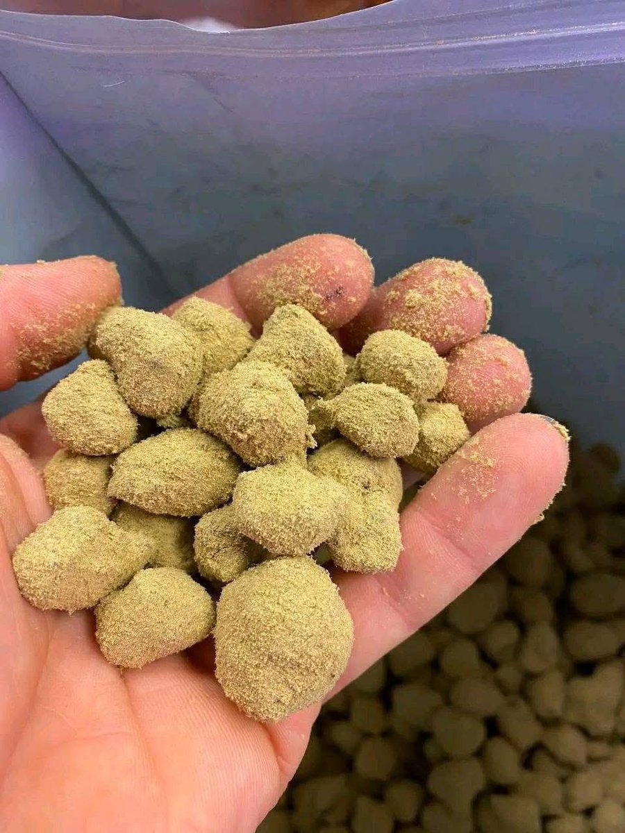 StoniesSmoke's tweet image. Got Moonrock?