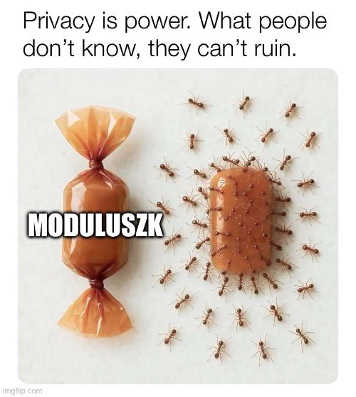 SPRIIRPS's tweet image. 🩸🩸🩸Privacy is power🩸🩸🩸
@ModulusZK delivers it

🩸🩸🩸Money is freedom🩸🩸🩸
$CULT empowers it