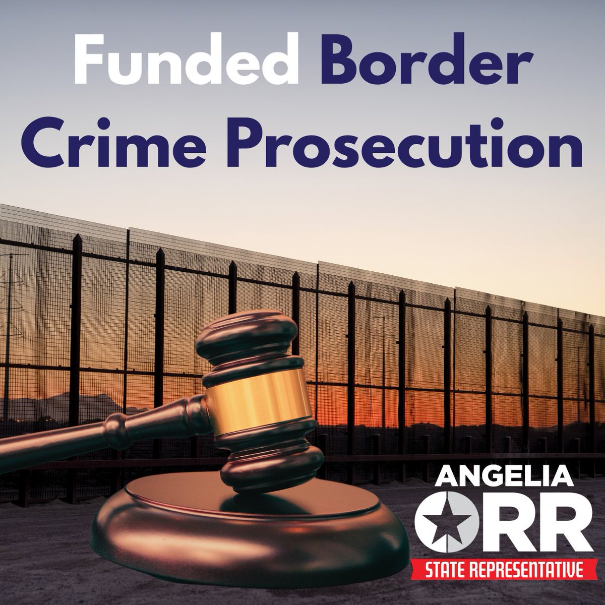 I helped deliver over $46M for border prosecution grants — so local prosecutors have the funding they need to keep criminal illegal aliens off our streets.

Texas is serious about prosecuting border crimes.