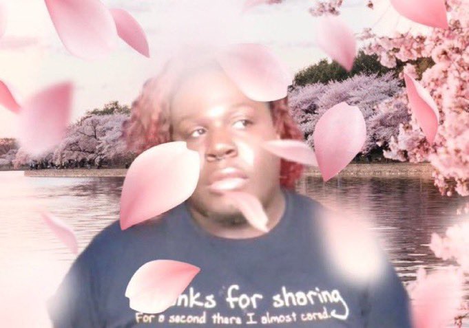 seated for paradise kiss and all about lily chou chou viewings