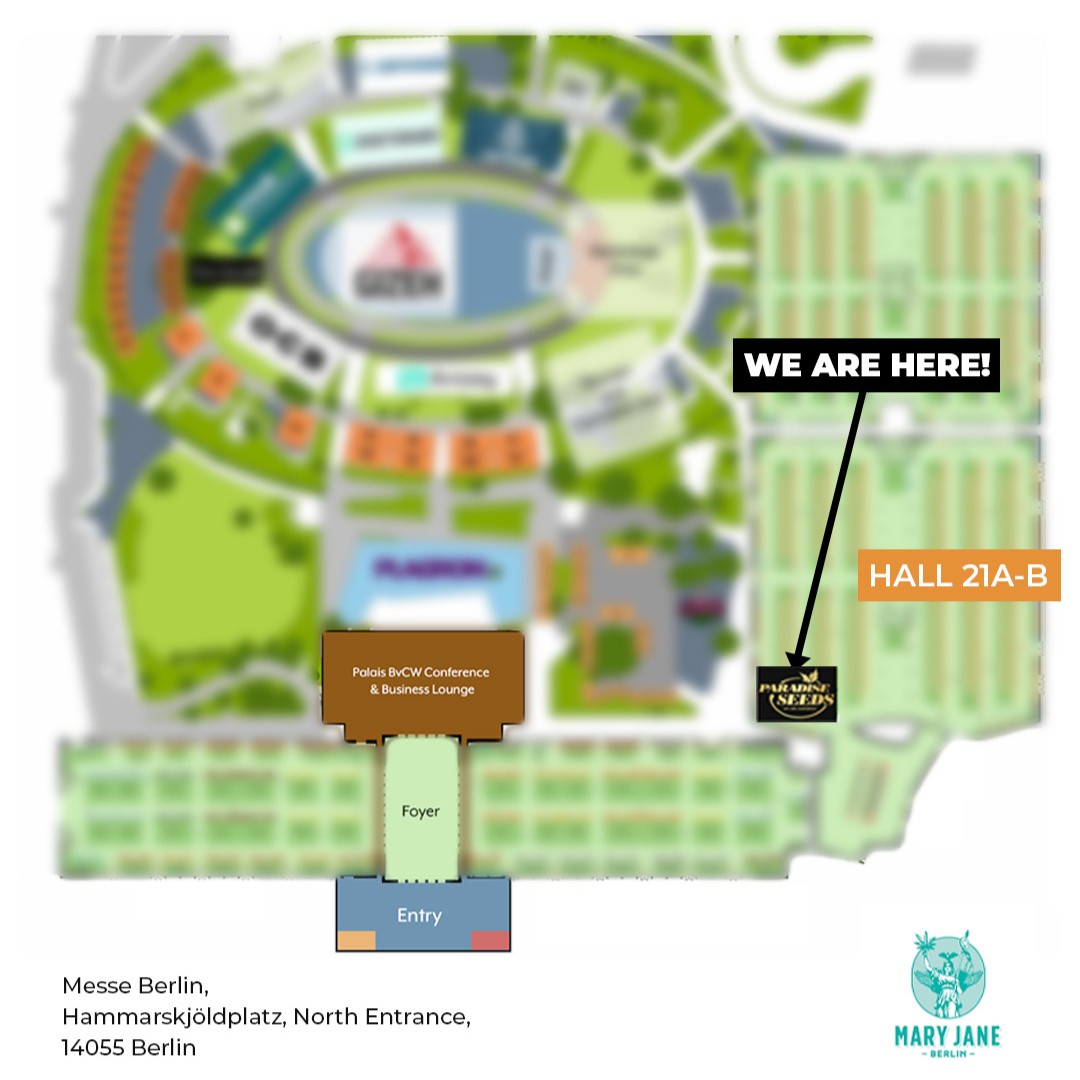 Mary Jane Berlin is massive—don't get lost!

📍 Find us in Hall 21A | Stand D90

Just follow the good vibes… it leads straight to Paradise 😉

#paradiseseeds #MaryJaneBerlin #MaryJane