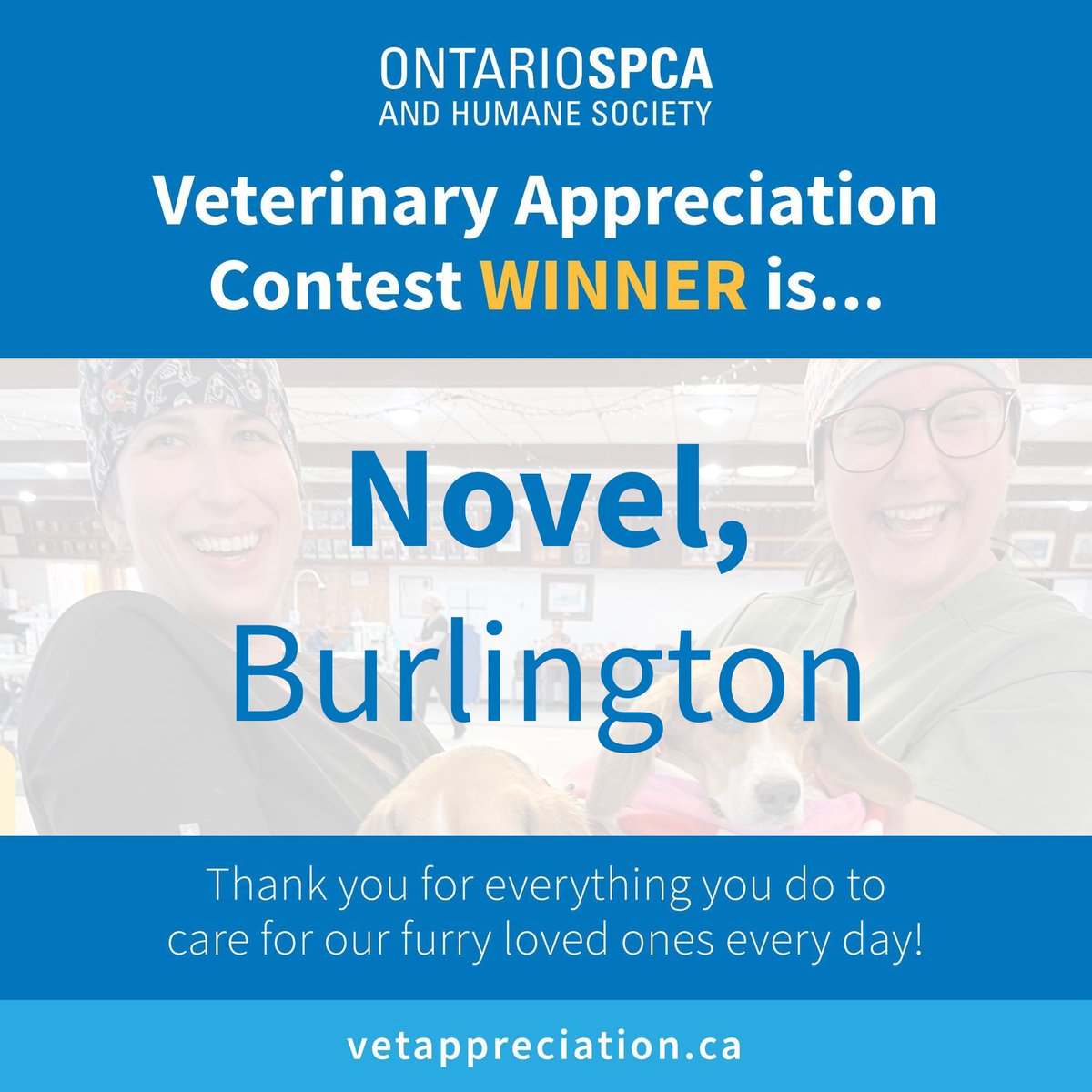 Compassion, care &amp; commitment 💙 Congrats to Novel in Burlington, winner of our Veterinary Appreciation Contest! With the most nominations &amp; votes, your dedication shines. A plaque &amp; lunch are on the way! Thank you to all veterinary teams!