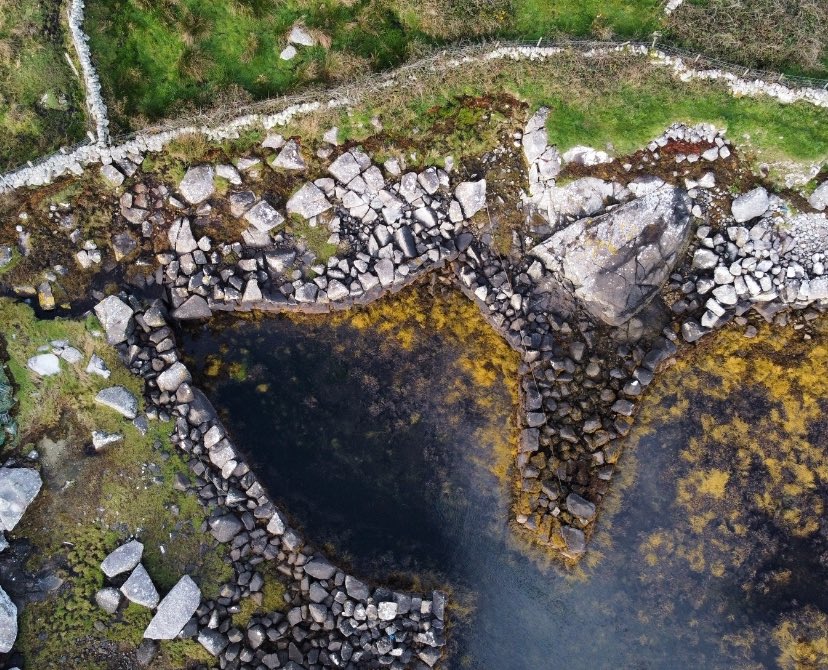 Colm Ó Neasa tweet media