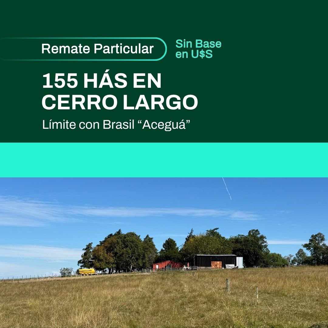iocco1949's tweet photo. 🌿 155 hás en Cerro Largo
Remate sin base en U$S | Límite con Brasil (Aceguá)

🏡 Casa, galpón, tajamares y pozos de agua.
Ideal para producción o inversión.

📲 Más info en https://t.co/SPnPQ6QIZF https://t.co/gJDCDntJlz