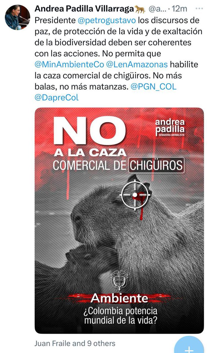 ¿Qué tal esta belleza?