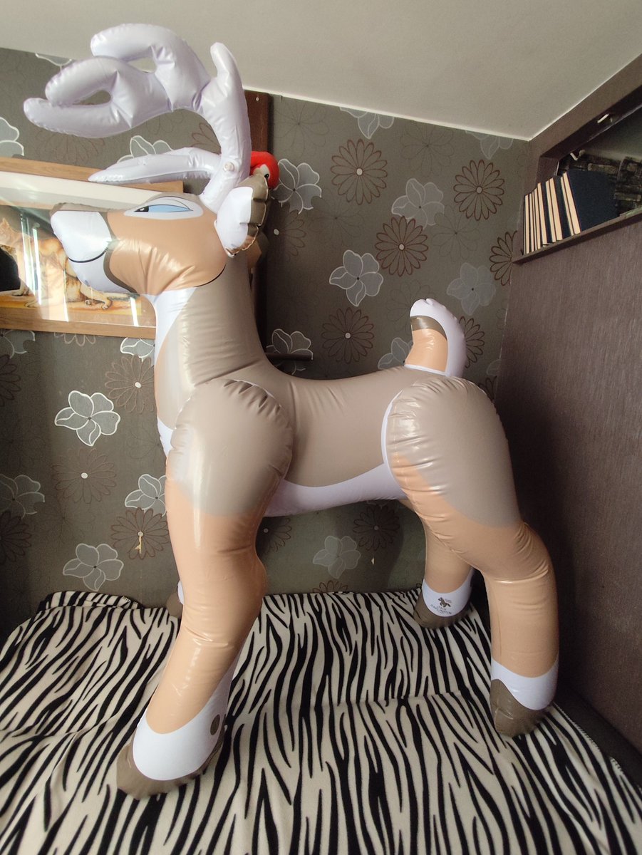 Last picture of Jack that I took before selling it today. But don't worry, I already have another toy planned to buy to replace it
#pooltoys #squeaks #inflatable