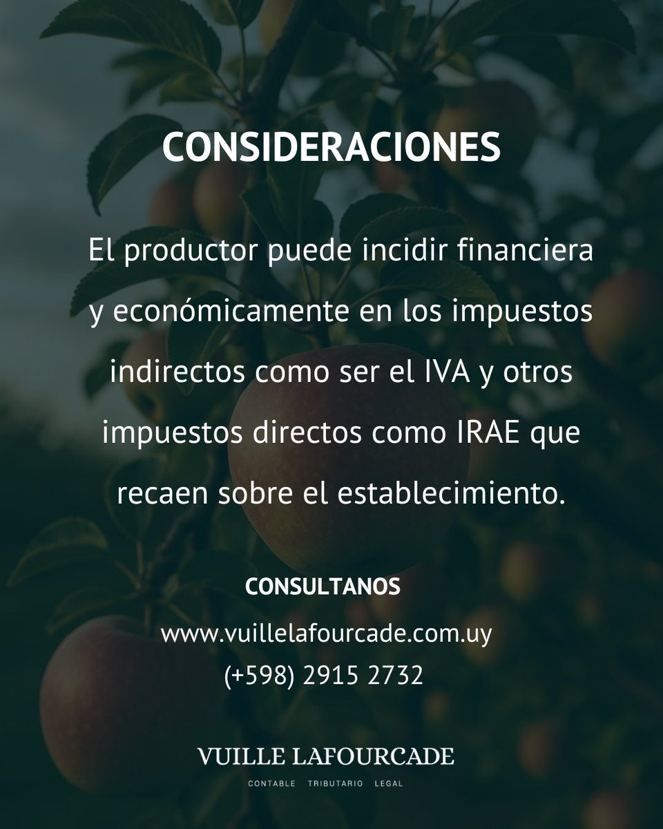 vluruguay's tweet photo. 🗓️ 30 de junio: cierre de ejercicio en el sector agropecuario
 
En este post, te contamos como el productor agropecuario puede incidir en los costos fiscales de su establecimiento, amparándose en la normativa tributaria vigente en nuestro país.
 
👉🏽 Contáctanos: https://t.co/GH7esDi19f