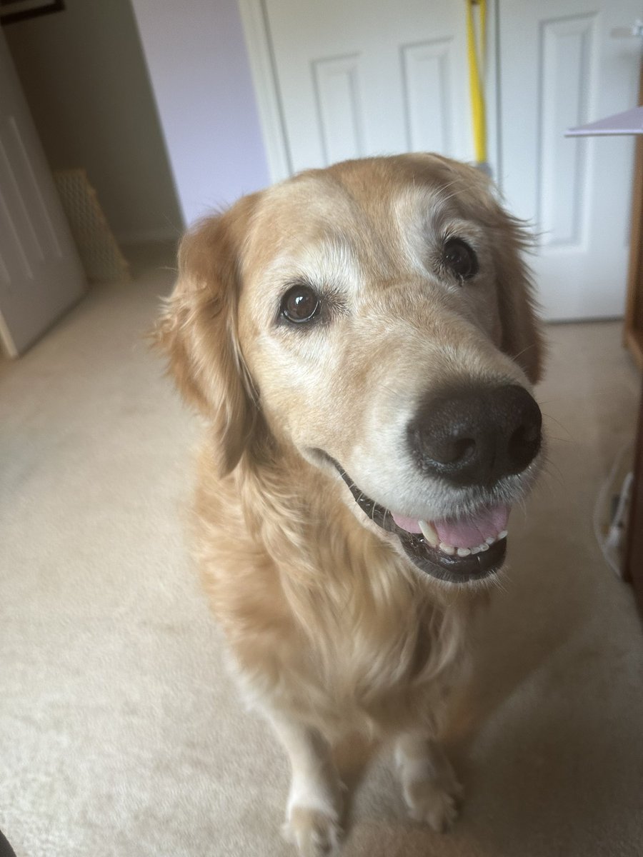 Maggienificent and Amazing Gracie 🌈 tweet media