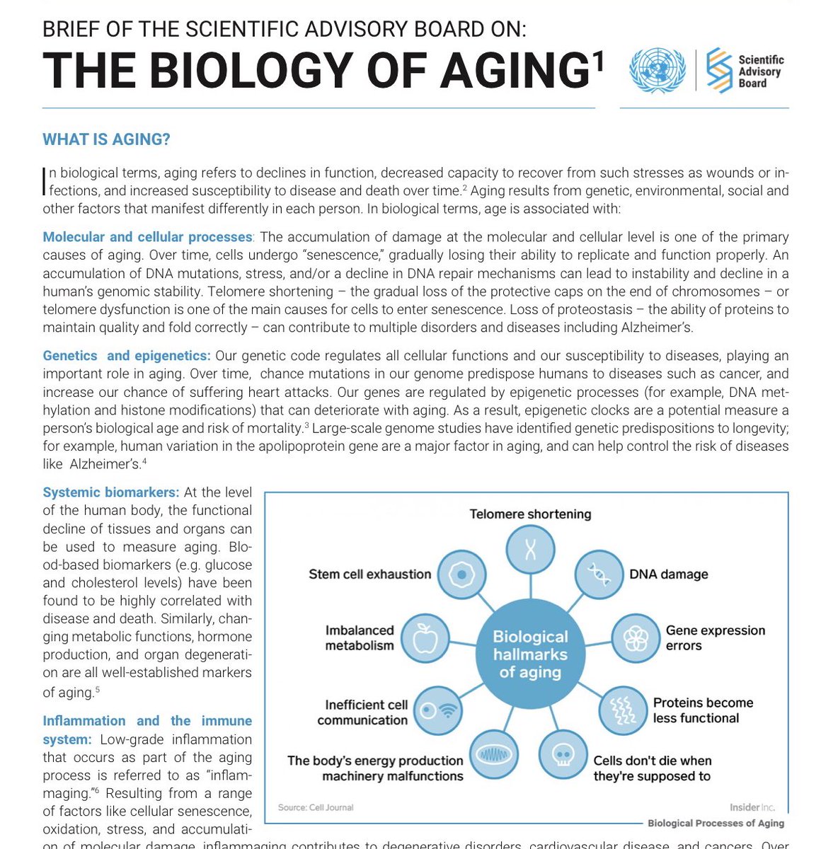 davidasinclair's tweet photo. The @UN brief, The Biology of Aging, is out. Aging research is growing up! https://t.co/TQU1oPqI1B https://t.co/S9qCghhGWO