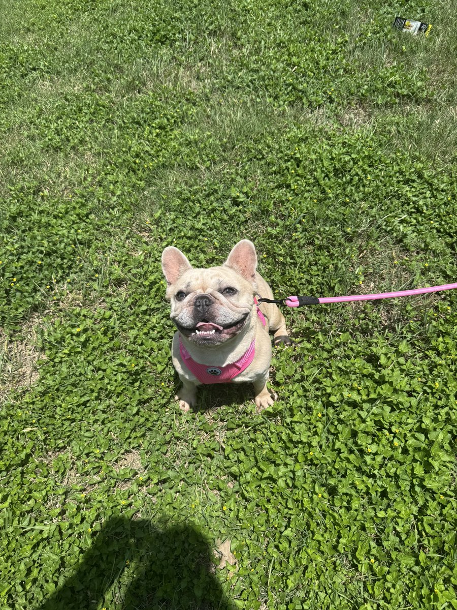 Nova 😍😍