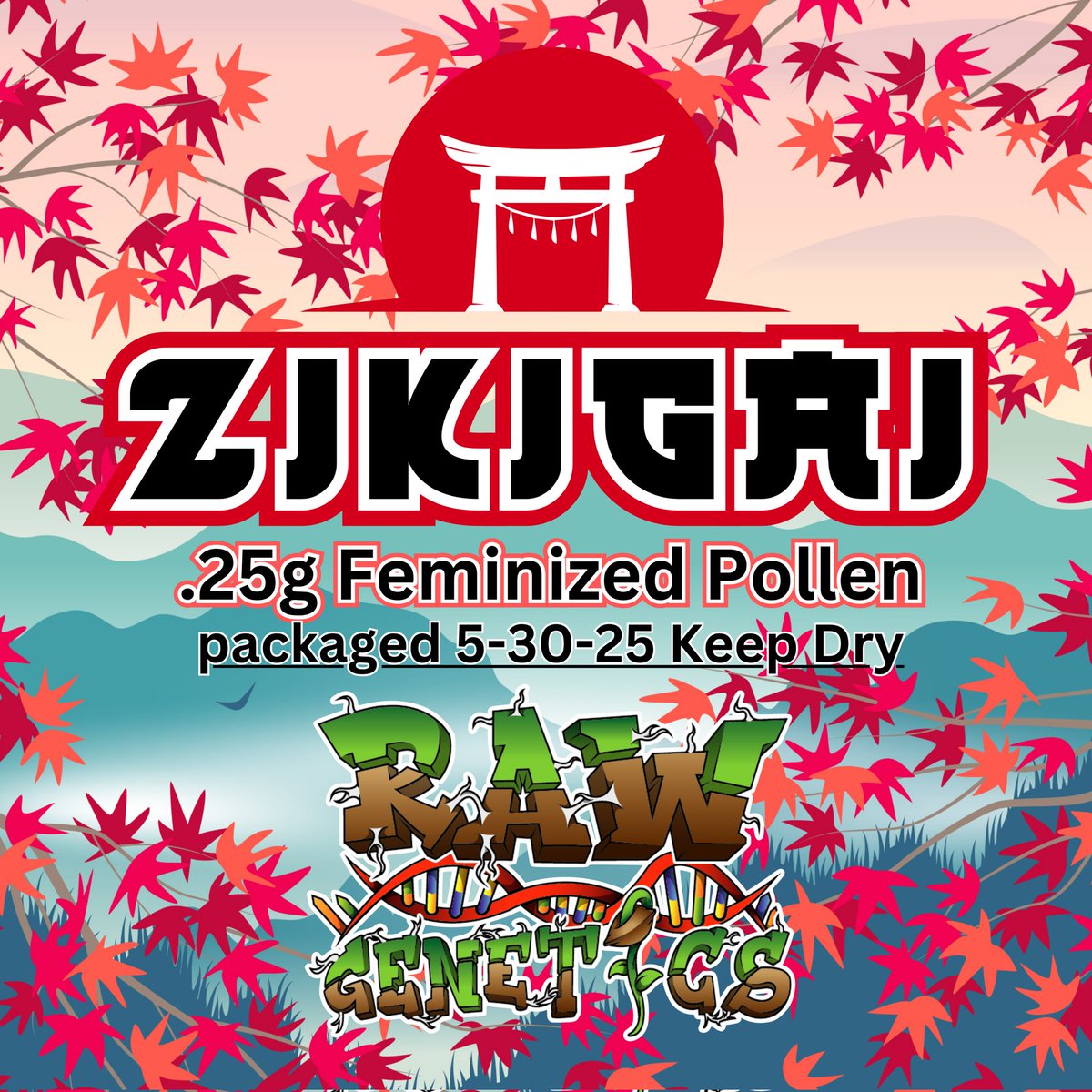 Rawdirect_'s tweet photo. Zikigai pollen promo is still going for a limited time! With any 100$ minimum purchase you will get a vial of fresh feminized pollen for you to take into your gardens and begin creating your own strains at home! ⛩️🌈
#followthepath https://t.co/7Zq8lJFtRk