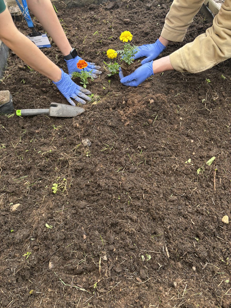 Niloofar Nikbin (@niloofarnikbin) on Twitter photo Green hands, calm minds😊a peaceful Sunday activity with our patients.
<a href="/Lily_GMMH/">Lily Bowers</a>
<a href="/JordanGmmh/">Jordan_GMMH</a>
#MacCollAboration
#TakeALookAtMeadowbrook
#MentalHealth Green hands, calm minds😊a peaceful Sunday activity with our patients.
<a href="/Lily_GMMH/">Lily Bowers</a>
<a href="/JordanGmmh/">Jordan_GMMH</a>
#MacCollAboration
#TakeALookAtMeadowbrook
#MentalHealth