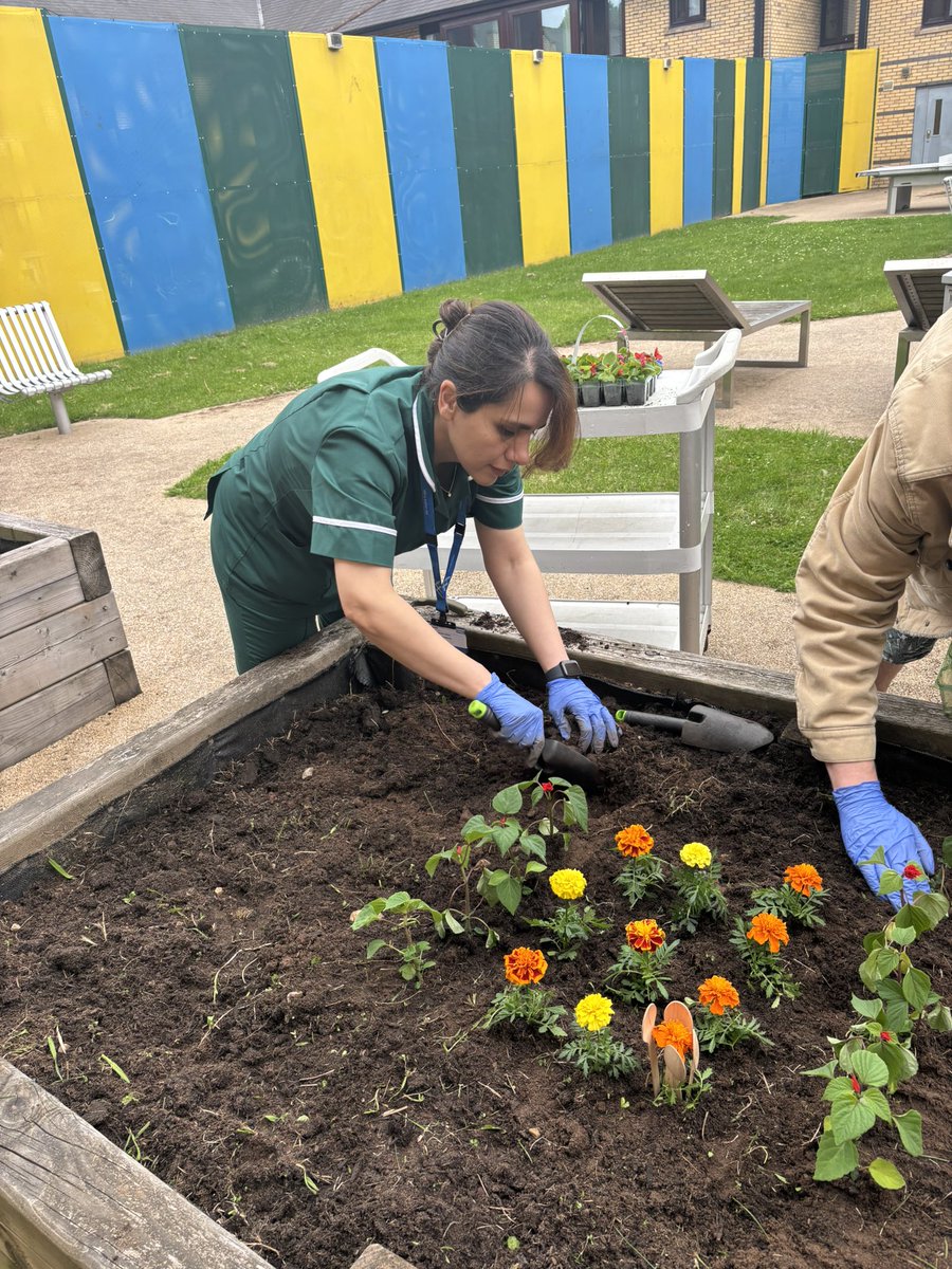 NiloofarNikbin's tweet image. Green hands, calm minds😊a peaceful Sunday activity with our patients.
@Lily_GMMH 
@JordanGmmh 
#MacCollAboration 
#TakeALookAtMeadowbrook 
#MentalHealth