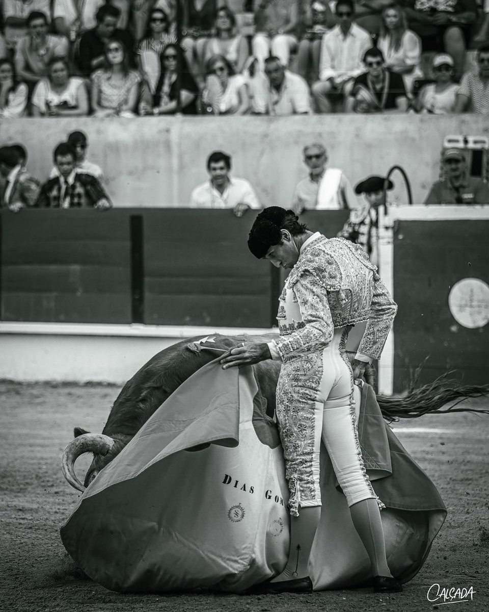 Manuel Dias Gomes (@mdiasgomes) on Twitter photo 