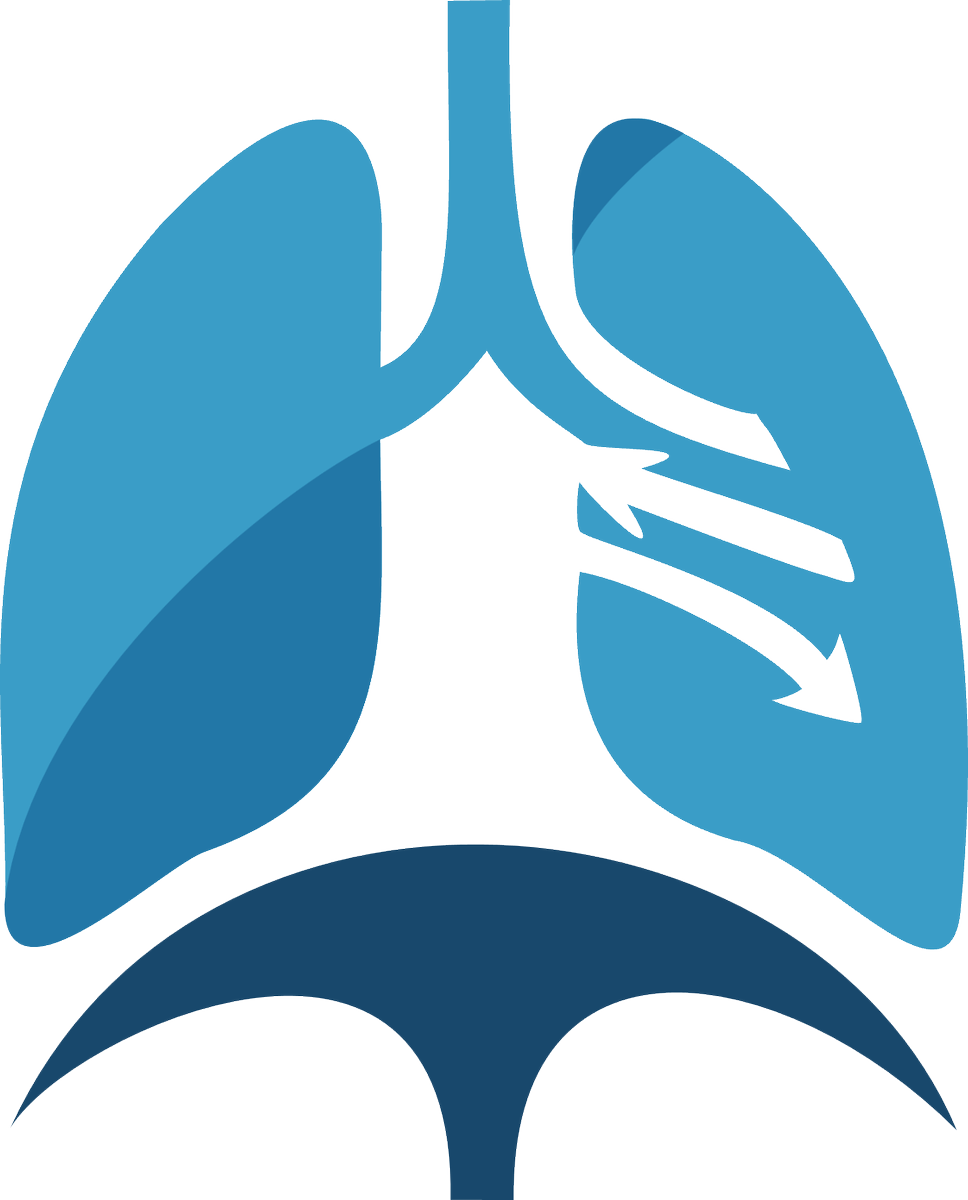 📢🎉 ¡Inscripciones abiertas para el curso de Entrenamiento de Músculos Respiratorios! 💨💪

📅 27-28 septiembre | 📍 Sevilla

Enfoque práctico y basado en evidencia para aplicar en diferentes patologías.

👉 colfisio.org/es/course/6849…

Gracias a <a href="/Colfisio/">Colfisio</a> por su colaboración 👏