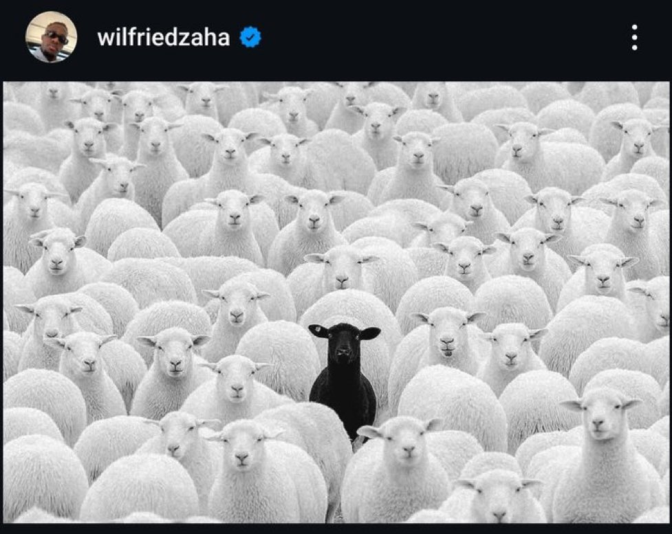 Yavaş yavaş psikoloji şuna evriliyor