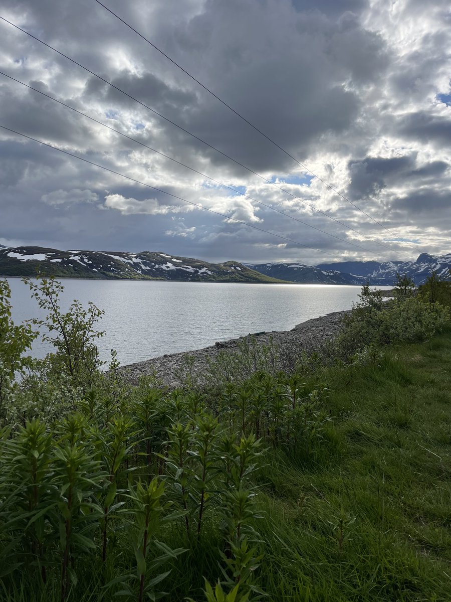 Good evening friends 🕊️
#Norway