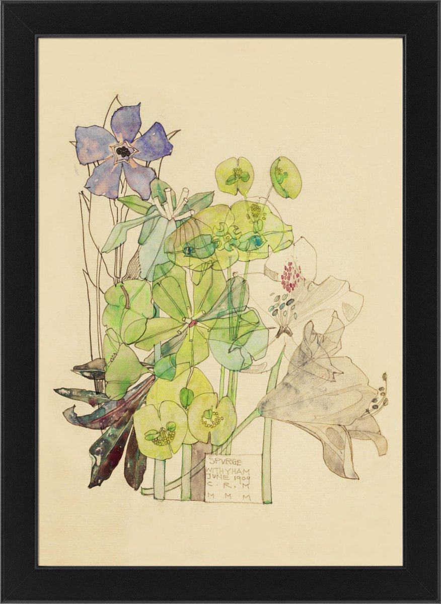 Order your beautiful print: duille.com/spurge

"Spurge Withyam". Charles Rennie Mackintosh. 1909.