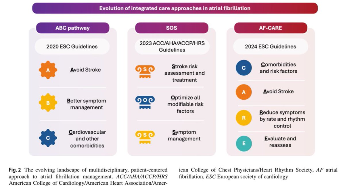 Marco Vitolo Ⓜ️ (@marcovitolomd) on Twitter photo 📣 The essential updates for everyday clinical practice from the 2024 ESC guidelines for AF management🌐 <a href="/escardio/">European Society of Cardiology</a>
📚Read more on the the latest evidence-based approaches to optimize AF patients' care.
🔗link.springer.com/article/10.100…
<a href="/BorianiGiuseppe/">Boriani Giuseppe</a> <a href="/DavideMei93/">Davide Mei</a> <a href="/JacopoImberti/">Jacopo Imberti</a> 📣 The essential updates for everyday clinical practice from the 2024 ESC guidelines for AF management🌐 <a href="/escardio/">European Society of Cardiology</a>
📚Read more on the the latest evidence-based approaches to optimize AF patients' care.
🔗link.springer.com/article/10.100…
<a href="/BorianiGiuseppe/">Boriani Giuseppe</a> <a href="/DavideMei93/">Davide Mei</a> <a href="/JacopoImberti/">Jacopo Imberti</a>