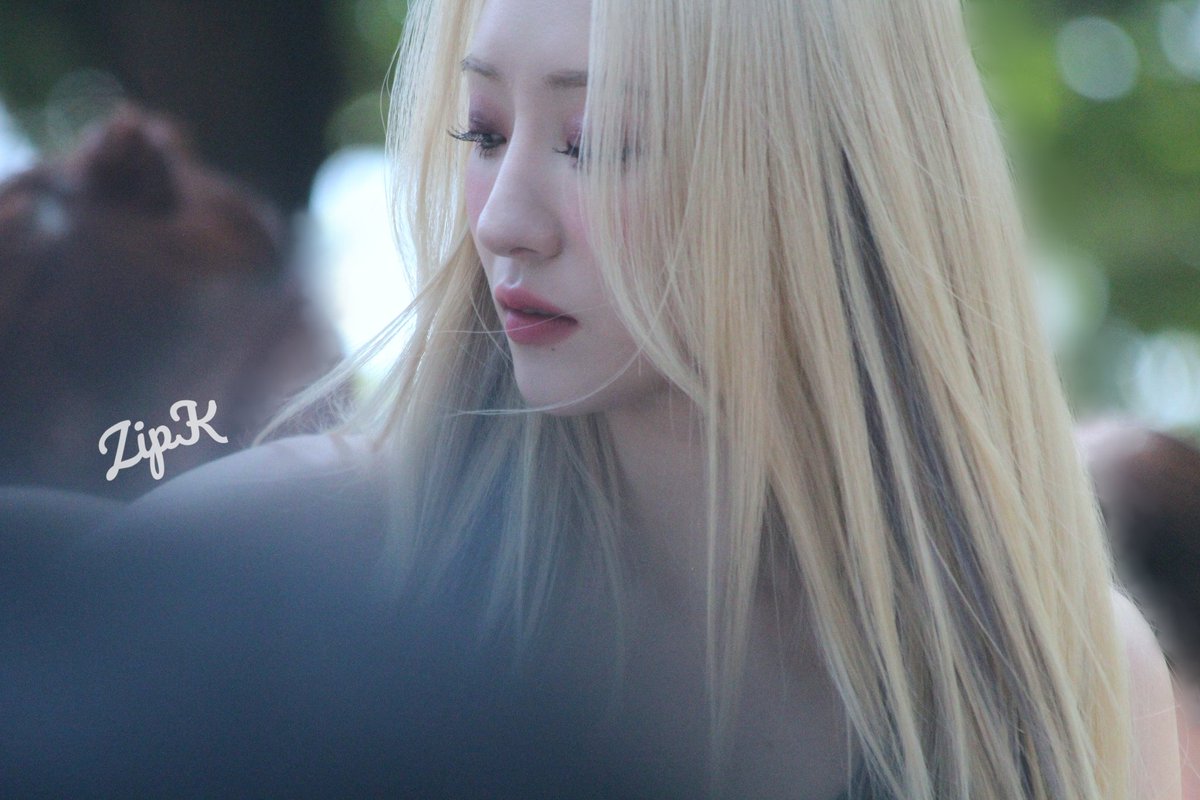 김집사 tweet media