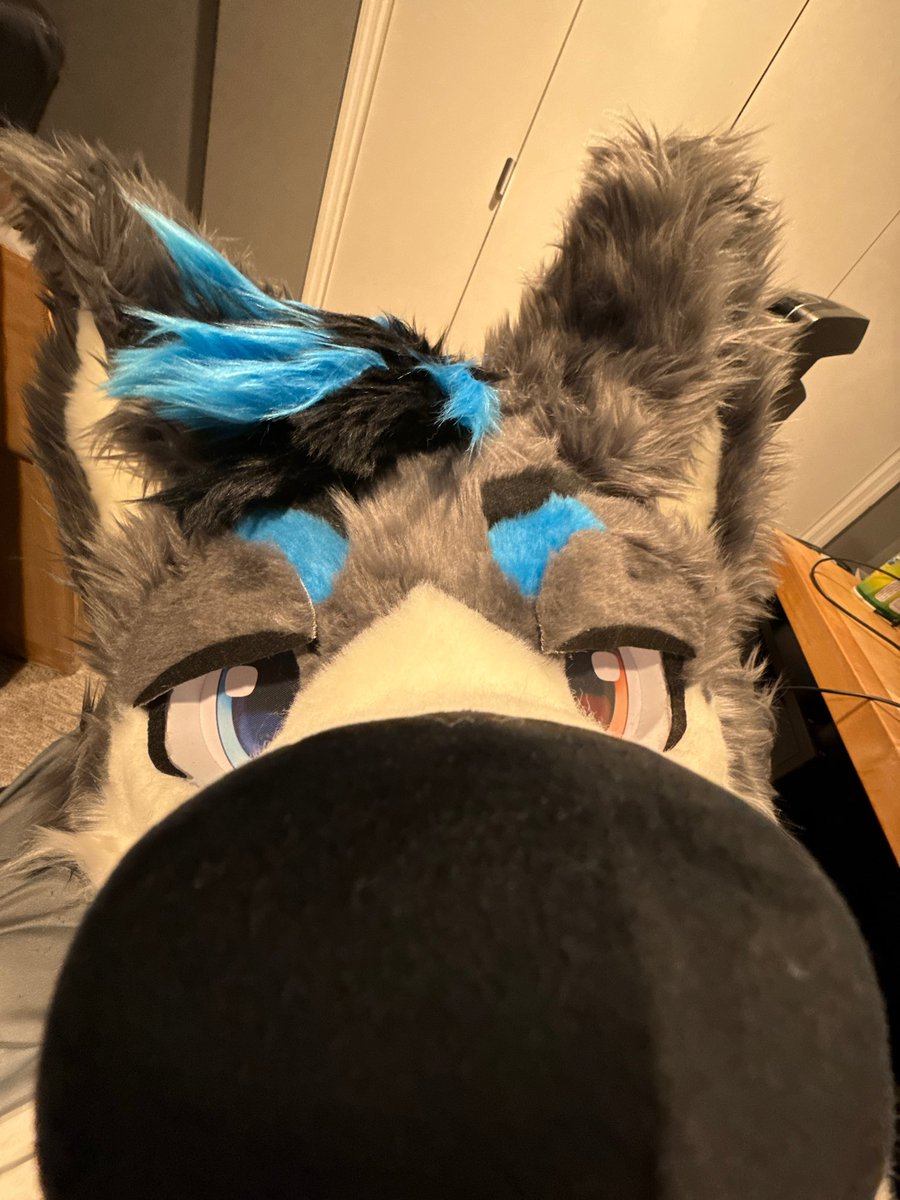 ArkisHusky's tweet image. I was gonna wait until I could take real photos of me in the suit... but I couldn't wait. Arkis is now real!!! They look amazing and I can't wait to wear them at AC &lt;3
🧵@SymphonTail